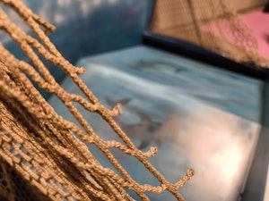 Decoy - bild 5