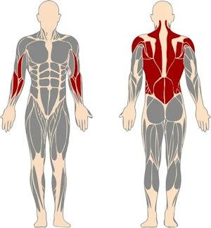 Lat-pulldown Free Access - bild 2