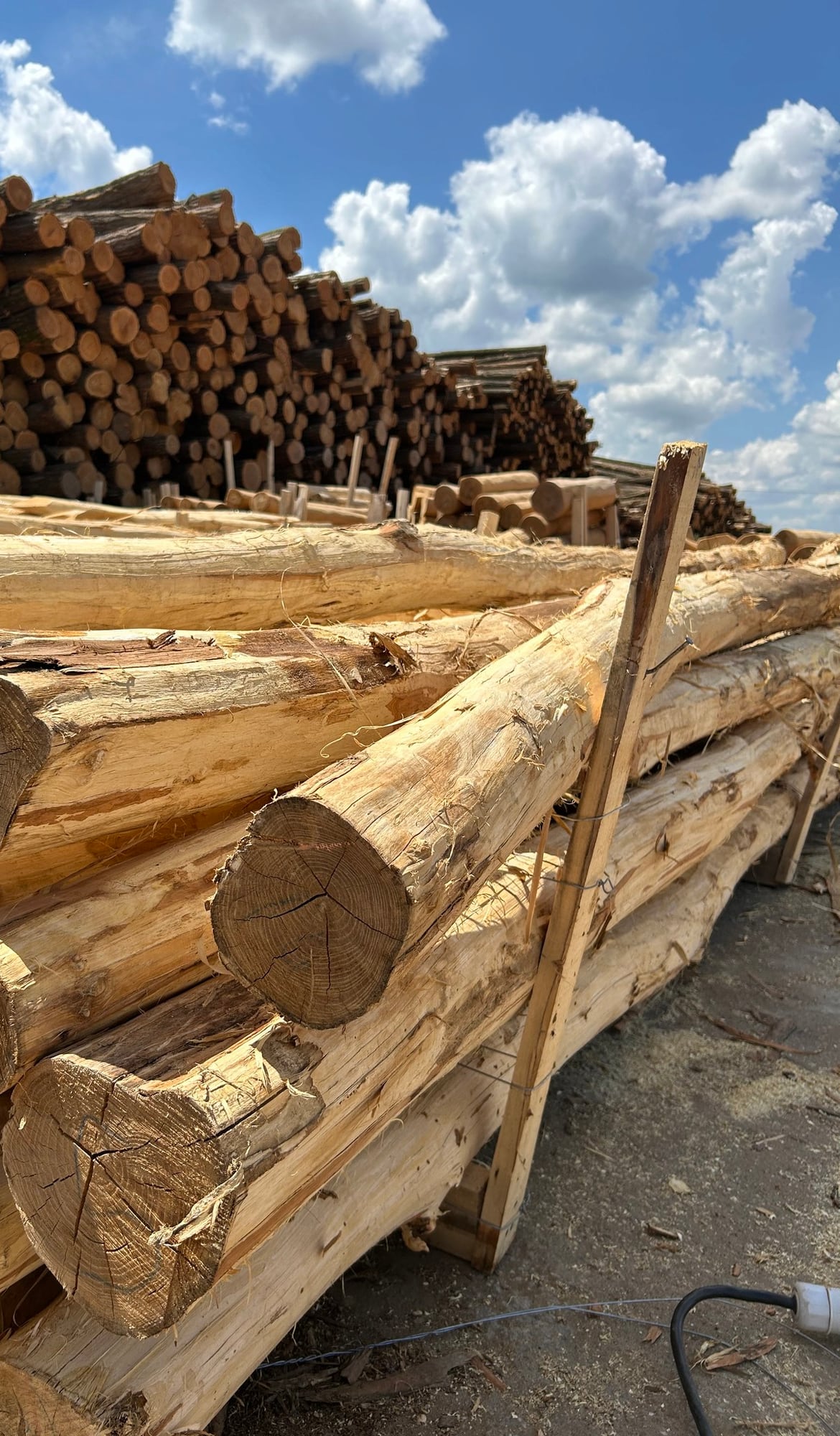 Stapel med barkade rundstolpar i robinia med ljus splint och kapade ändar, rundvirke i bakgrunden