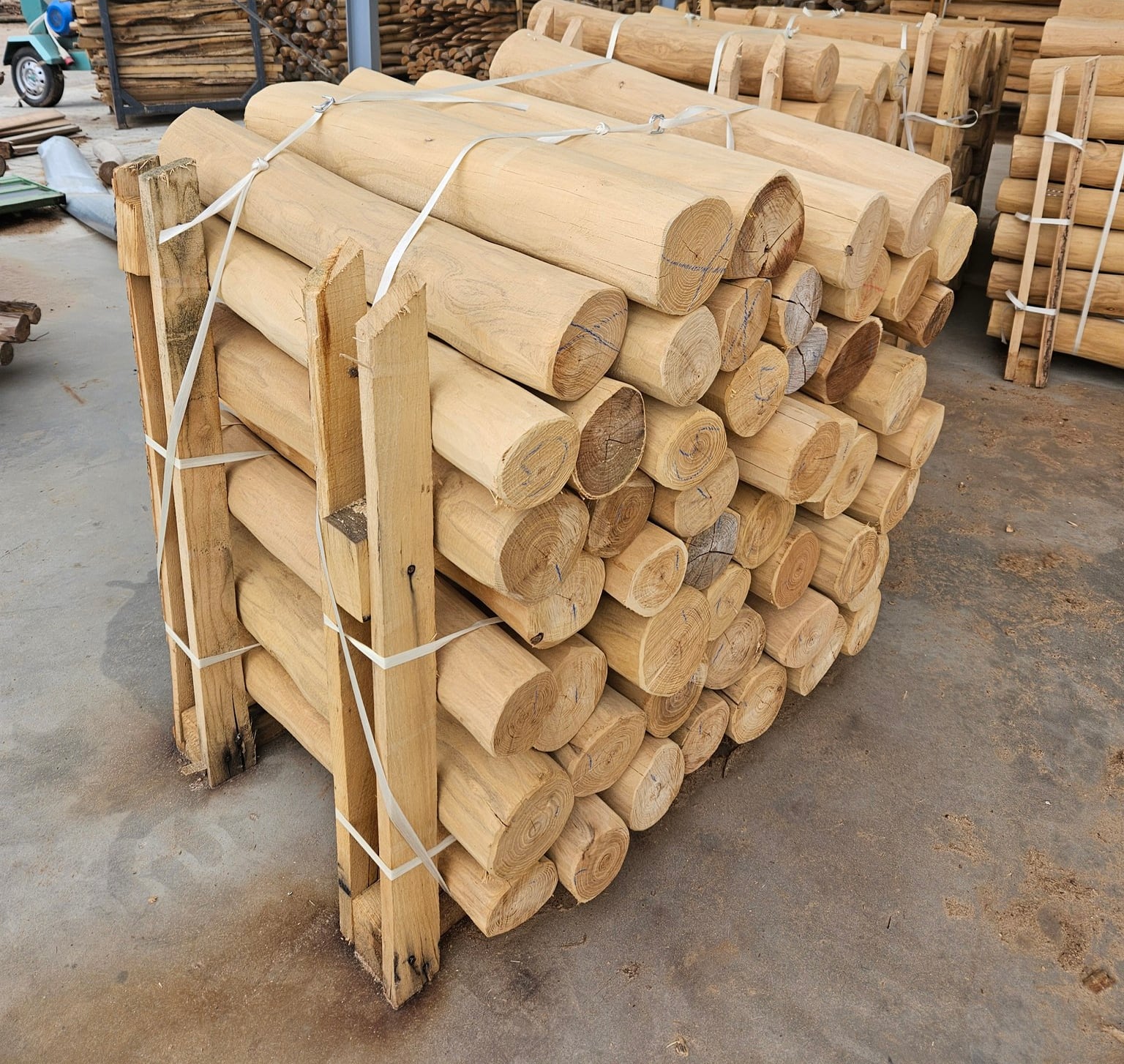 Bunt med splintfria palissader i robinia med naturlig växtform, spända med band i en ställning av trälister