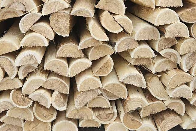 Stapel med halvrunda, skalade robiniaslanor sedda från ändarna, med raka sågade ändar och ljus splint