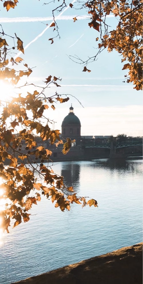 LS Patrimoine — Toulouse
