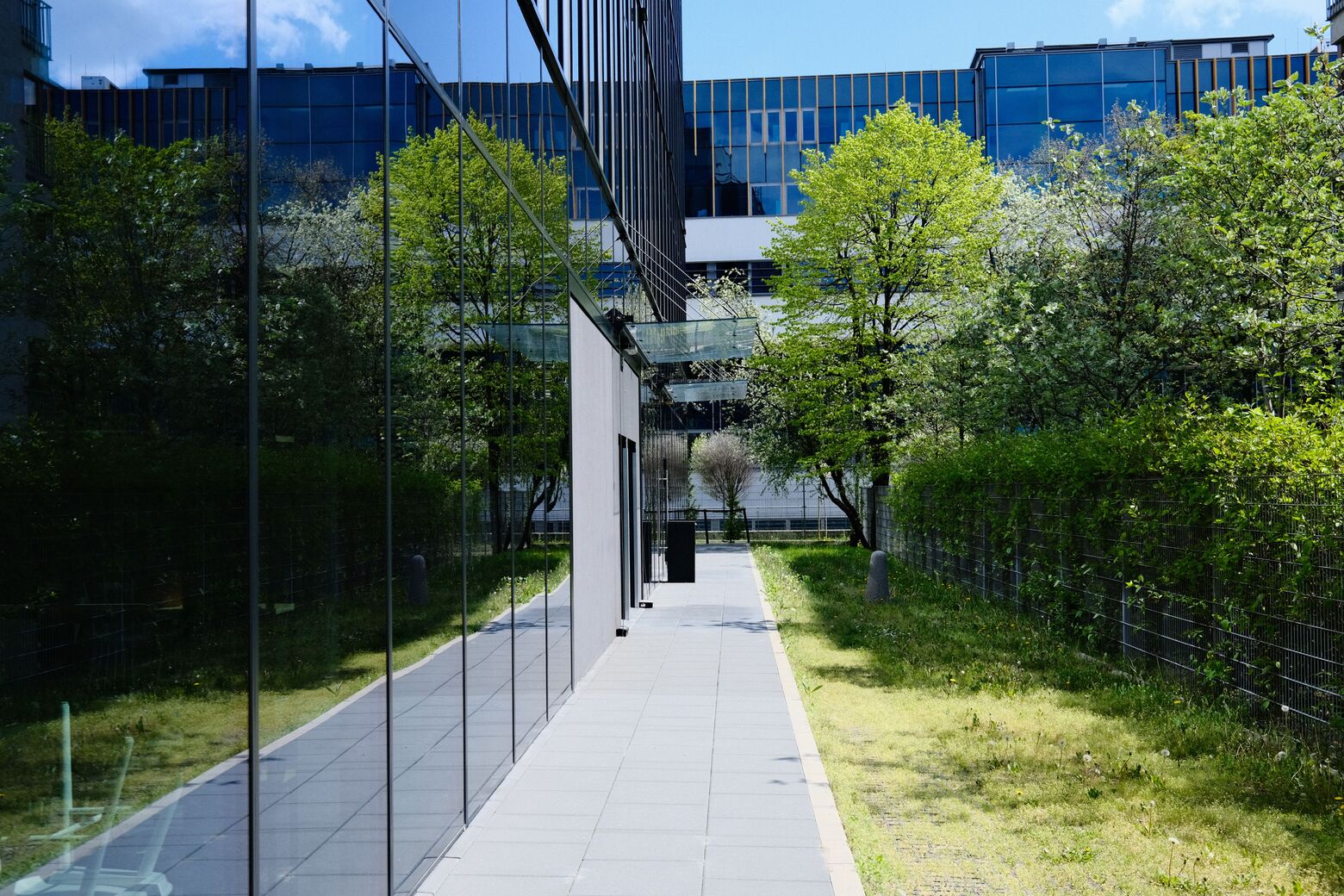 Aspetti Ambientali Significativi ISO 14001: Come Identificarli e Gestirli 