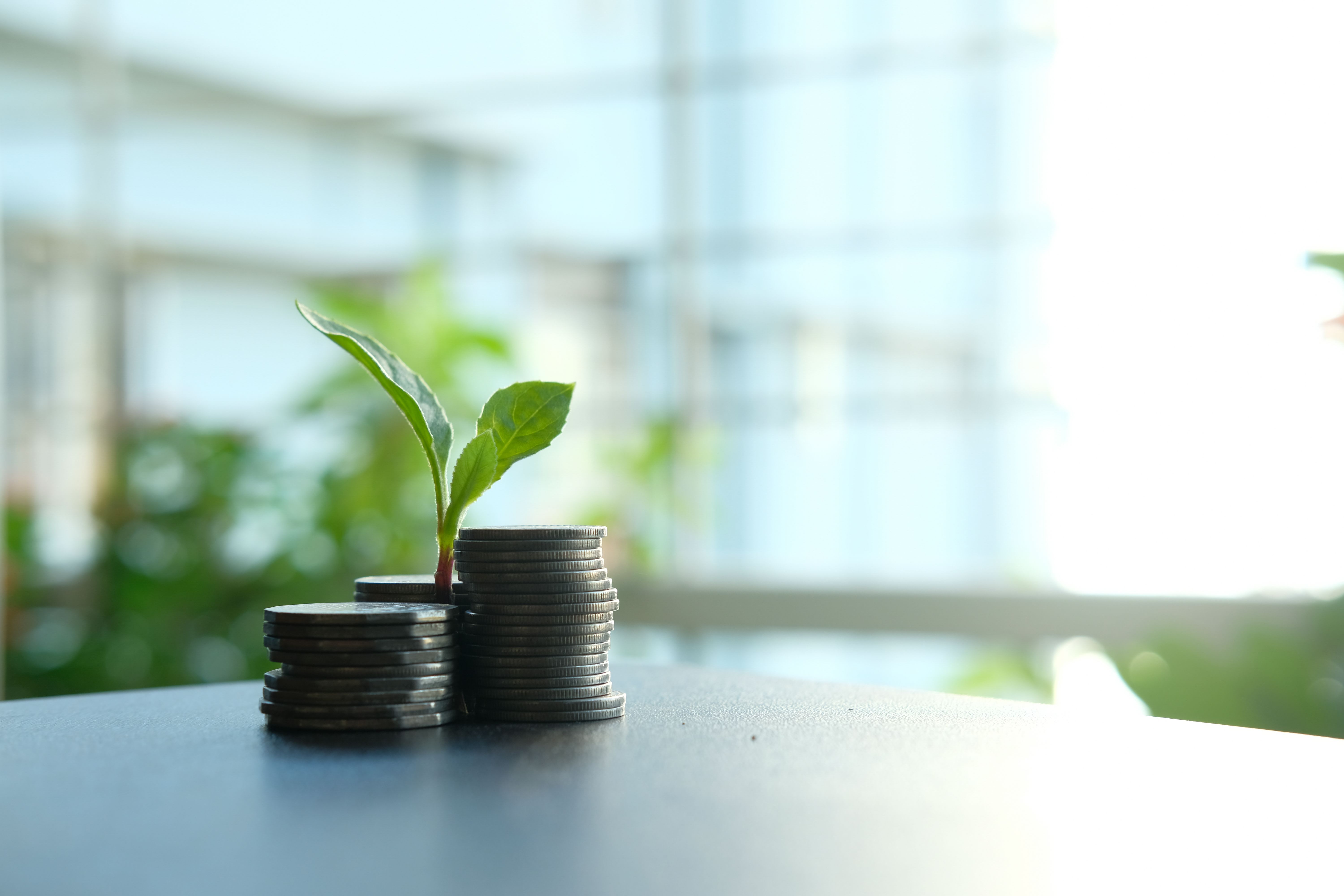 Costi Certificazione ISO 14001 nel 2026: Guida Completa per PMI 