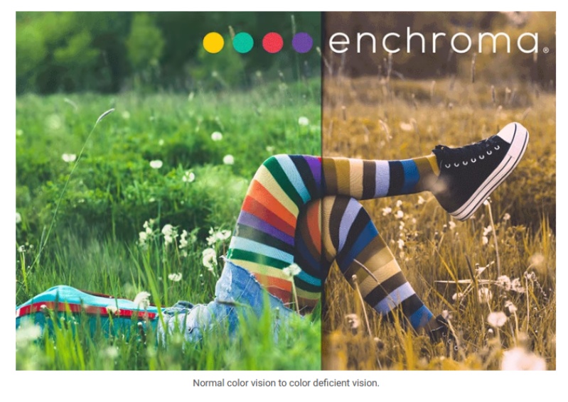 enchroma graphic