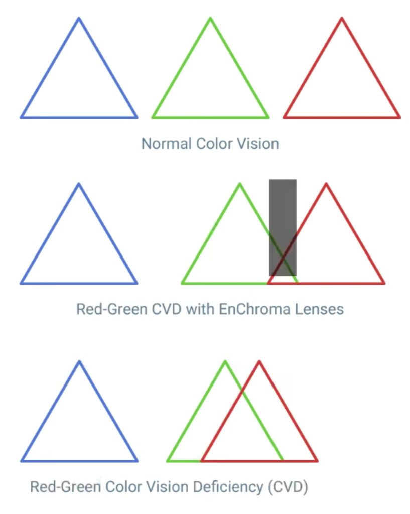 enchroma graphic
