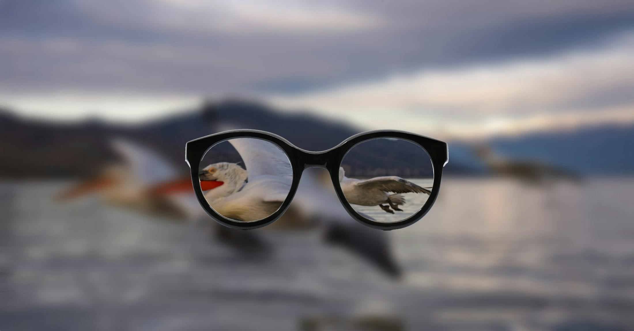 glasses and water