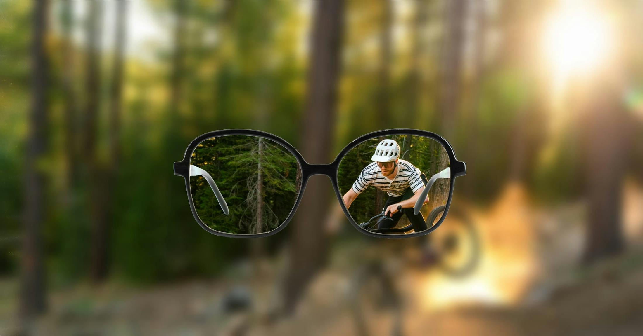 glasses and bike in forest