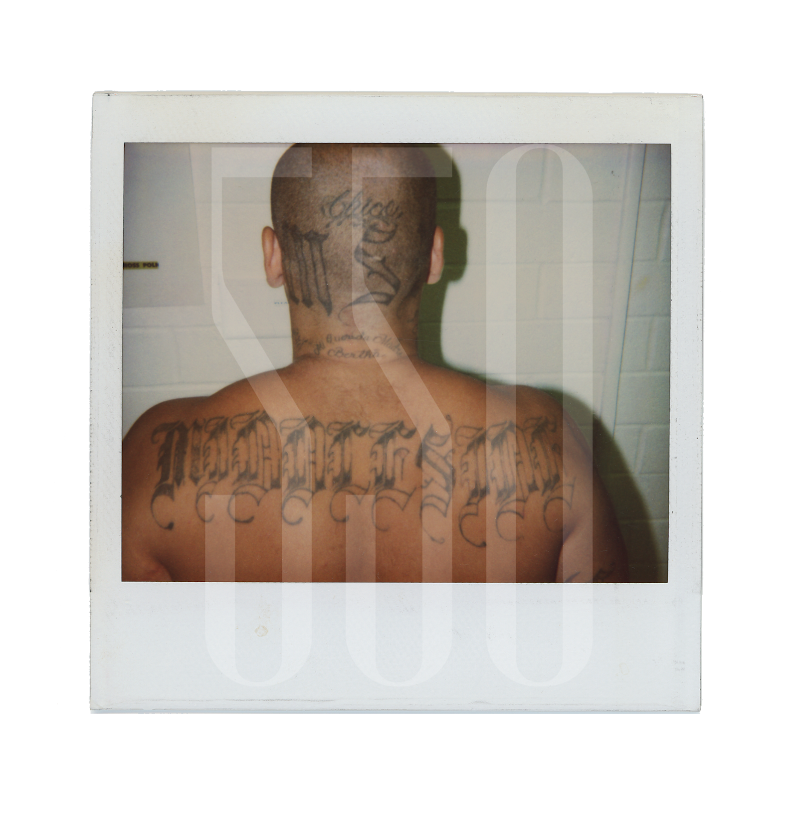 CALIFORNIA HISPANIC STREET GANGS'' FIELD IDENTIFICATION'' POLAROID PHOTOGRAPHS (50+)