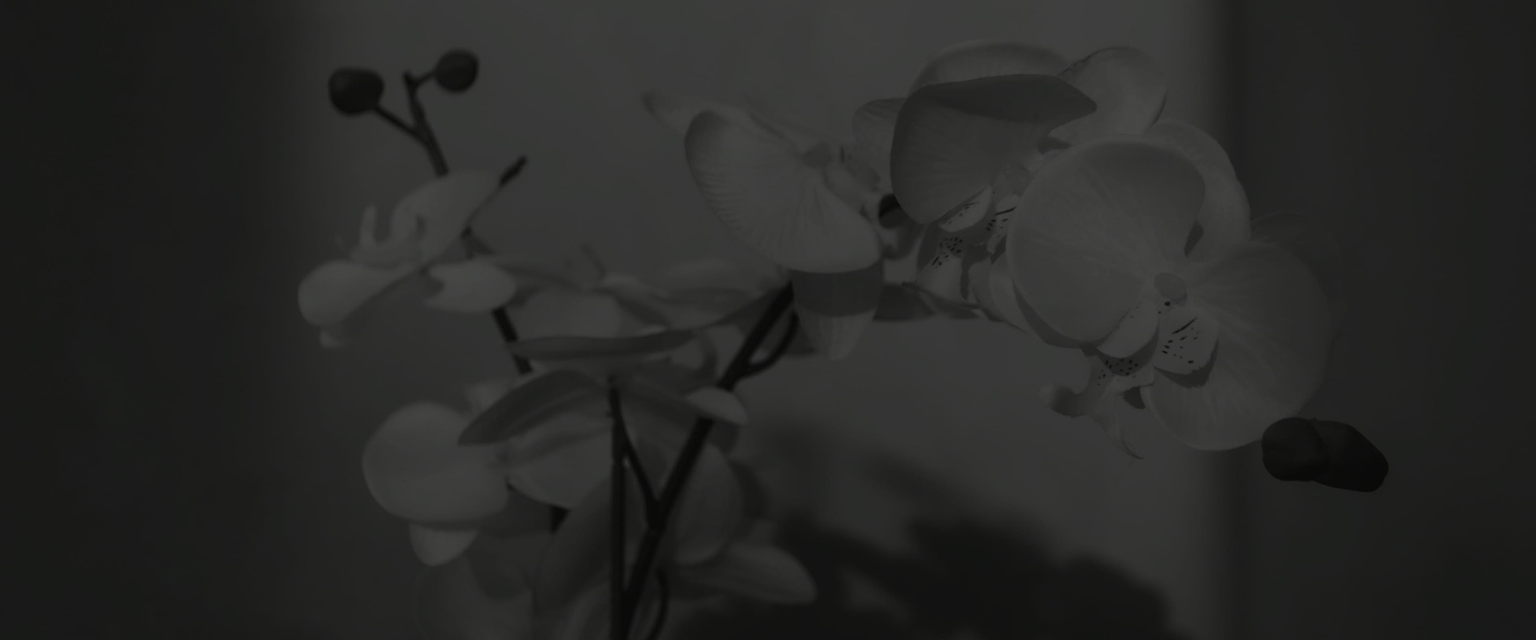 Banner media