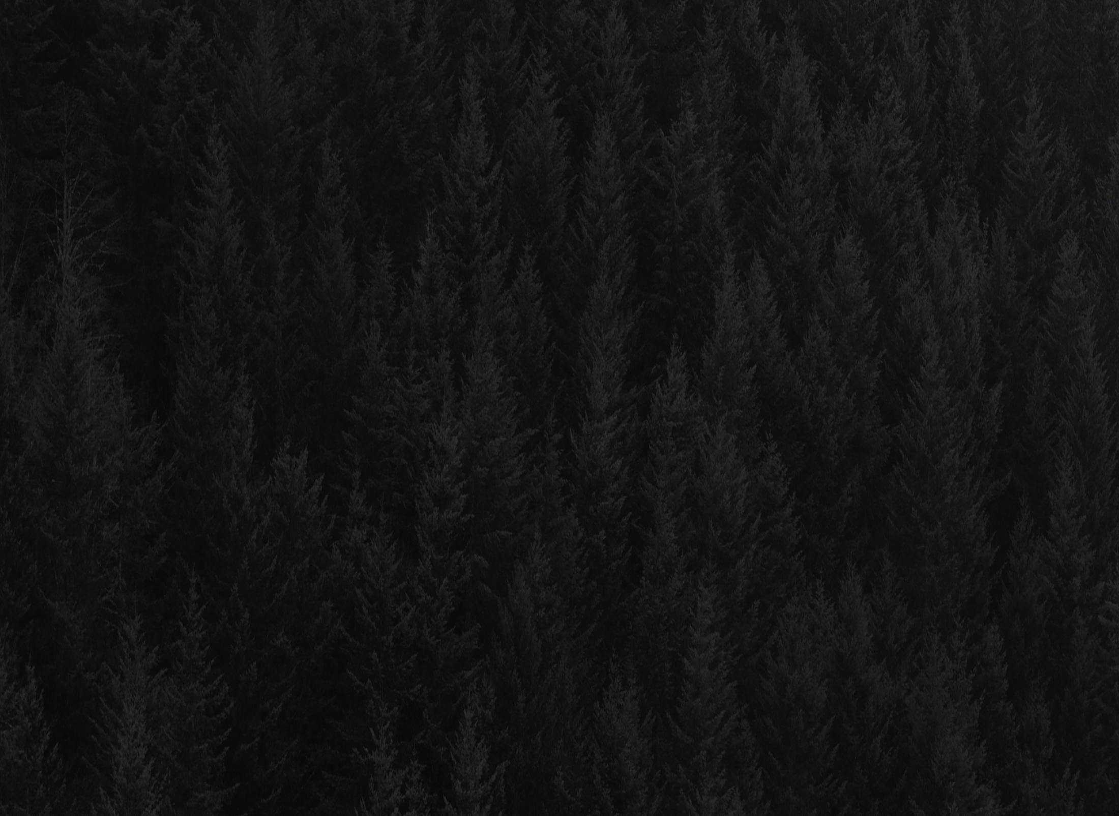 Background media