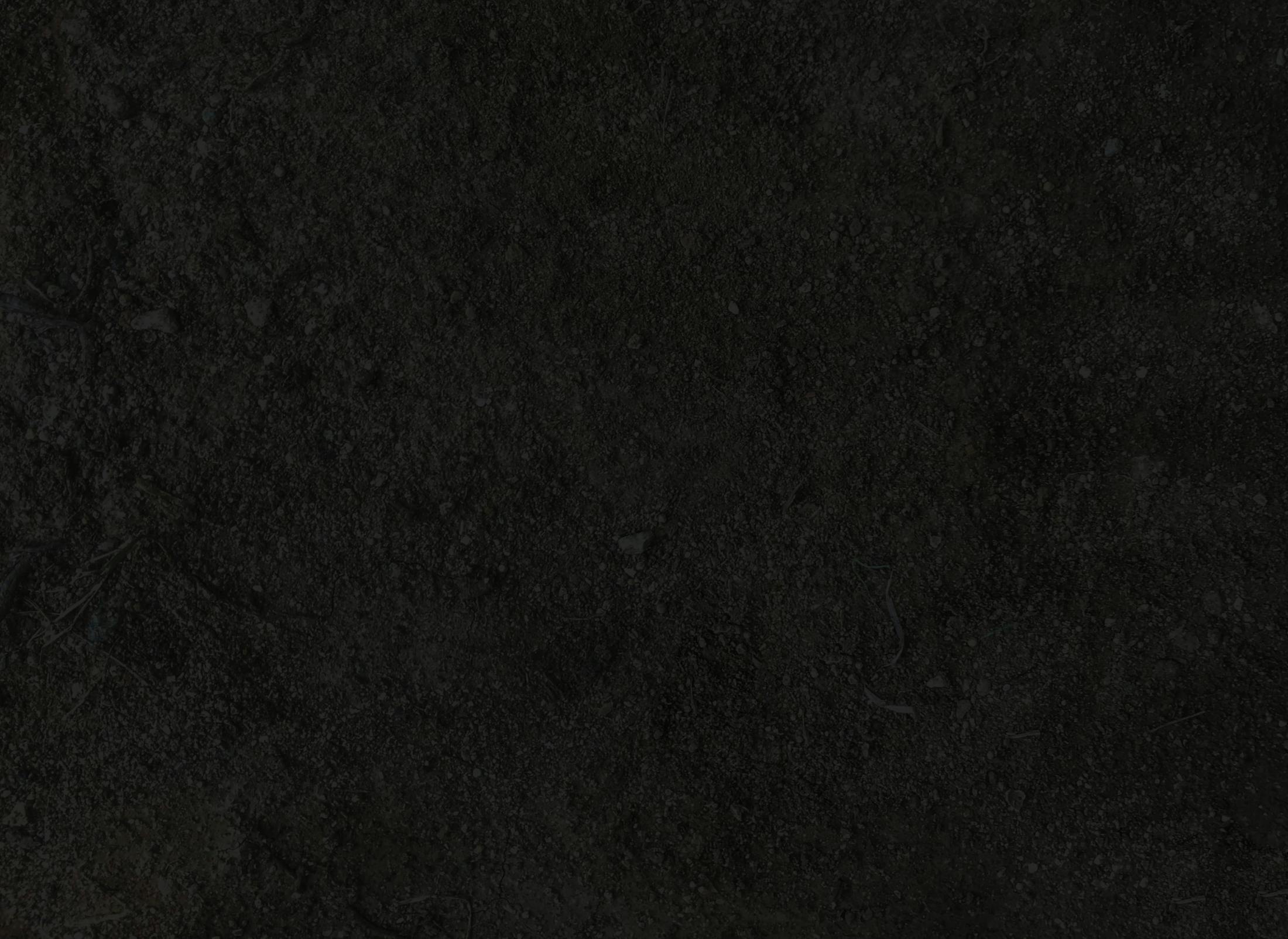 Background media
