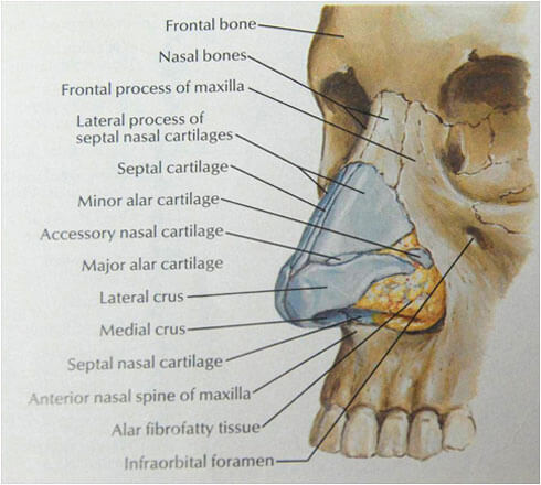infographic