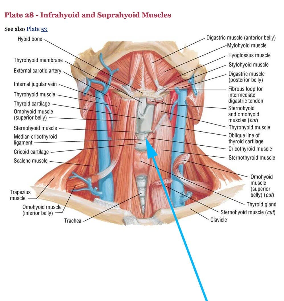 Tracheal Shave infographic