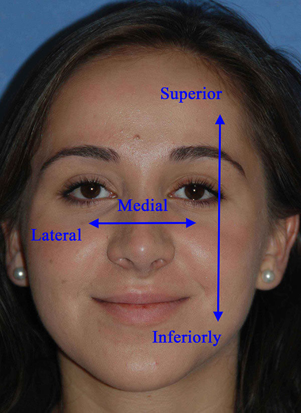 face diagram