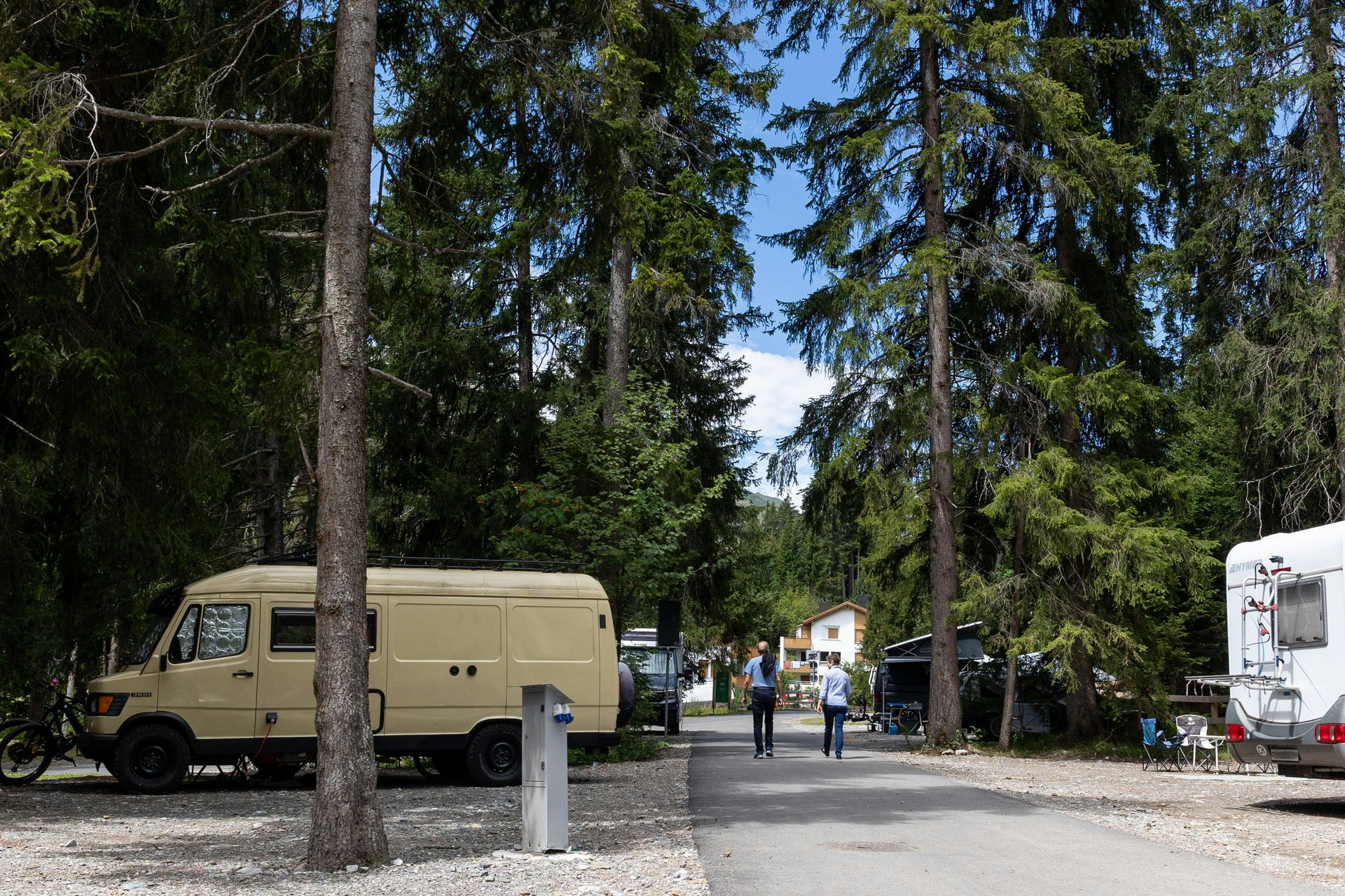 Wohnmobile zwischen hohen Bäumen