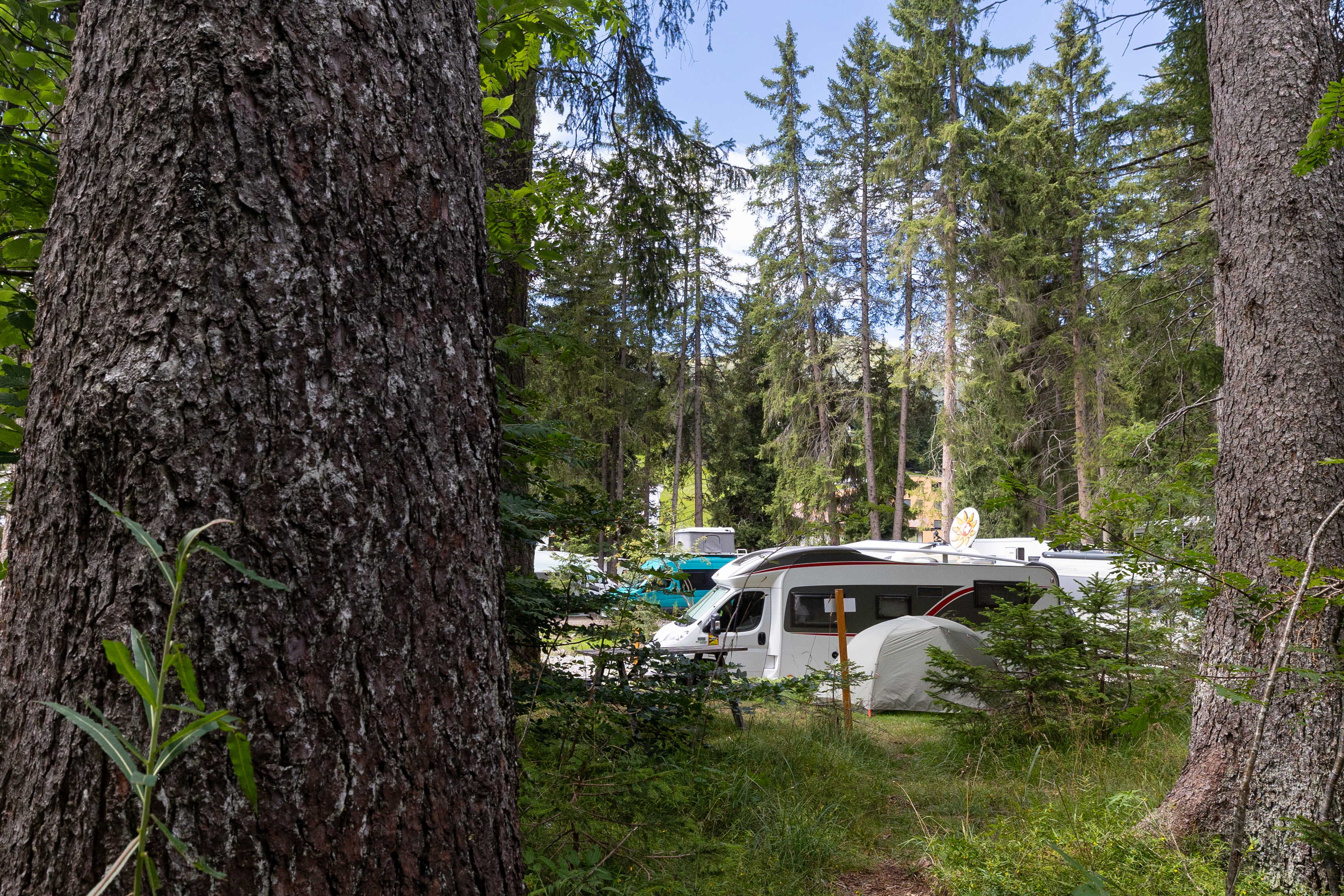 Wohnwagen auf Stellplatz zwischen Bäumen, Camping Gravas