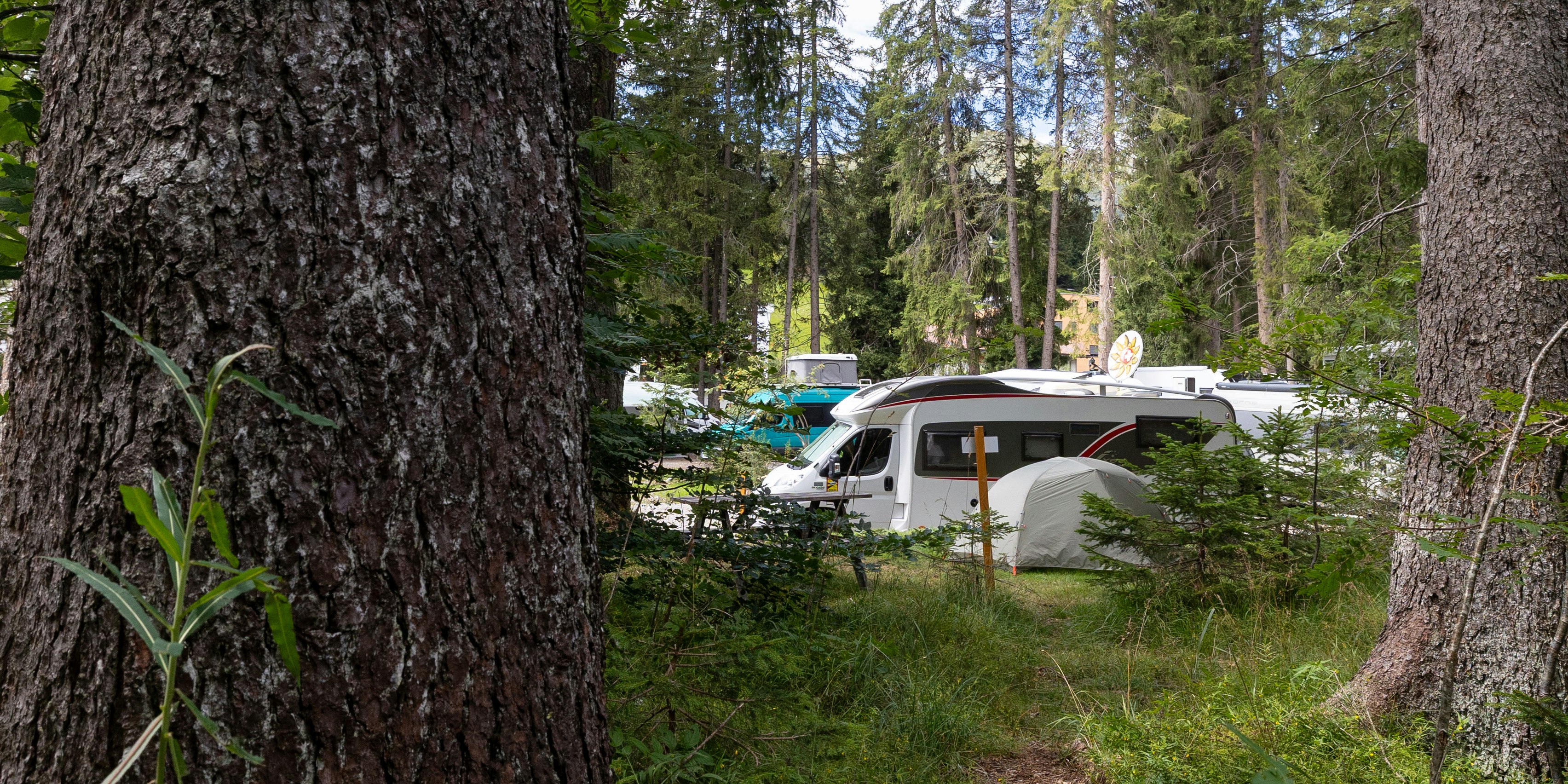 Wohnwagen im Wald Wohnwagen auf Stellplatz zwischen Bäumen, Camping Gravas