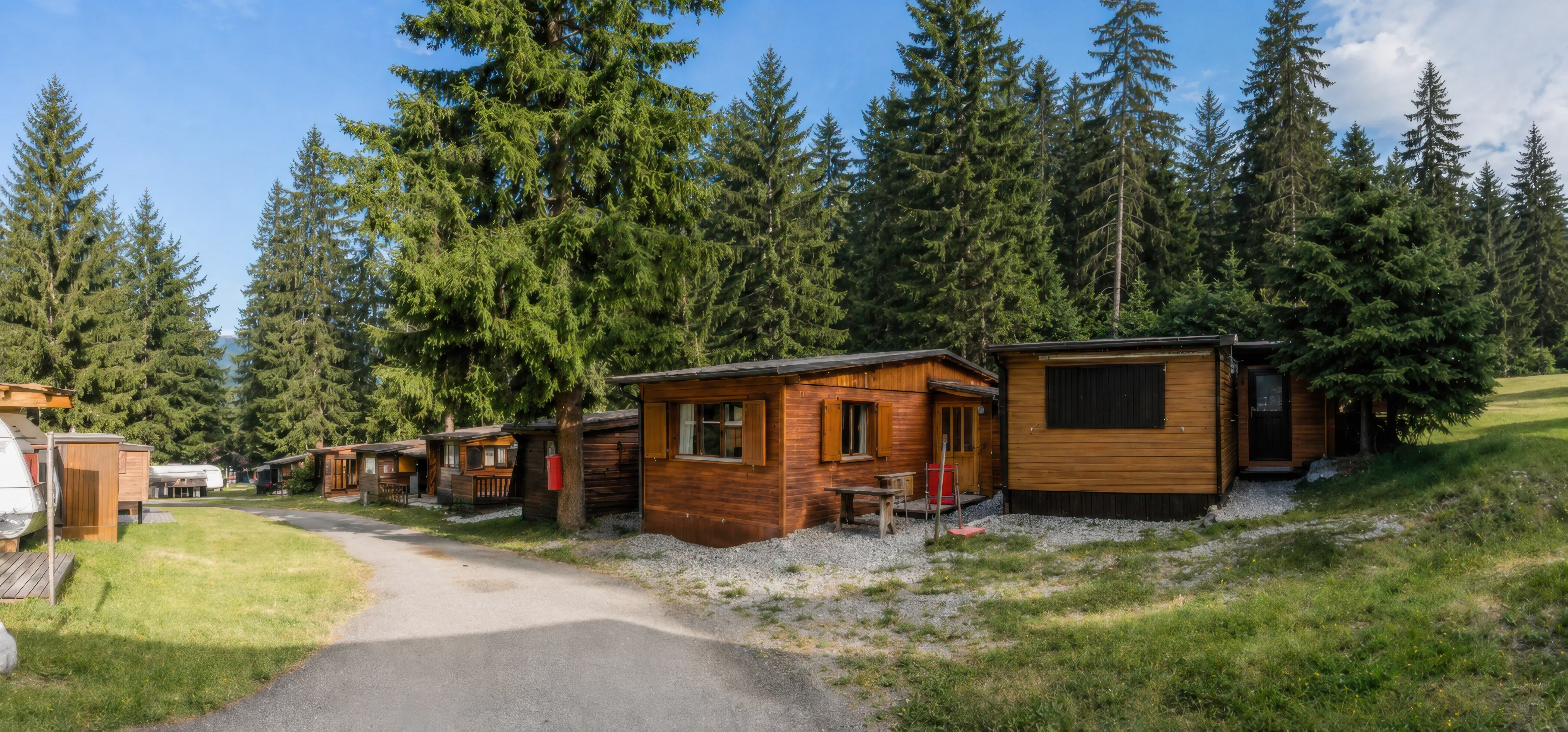 Holzchalet an einem Weg zwischen grünen Nadelbäumen