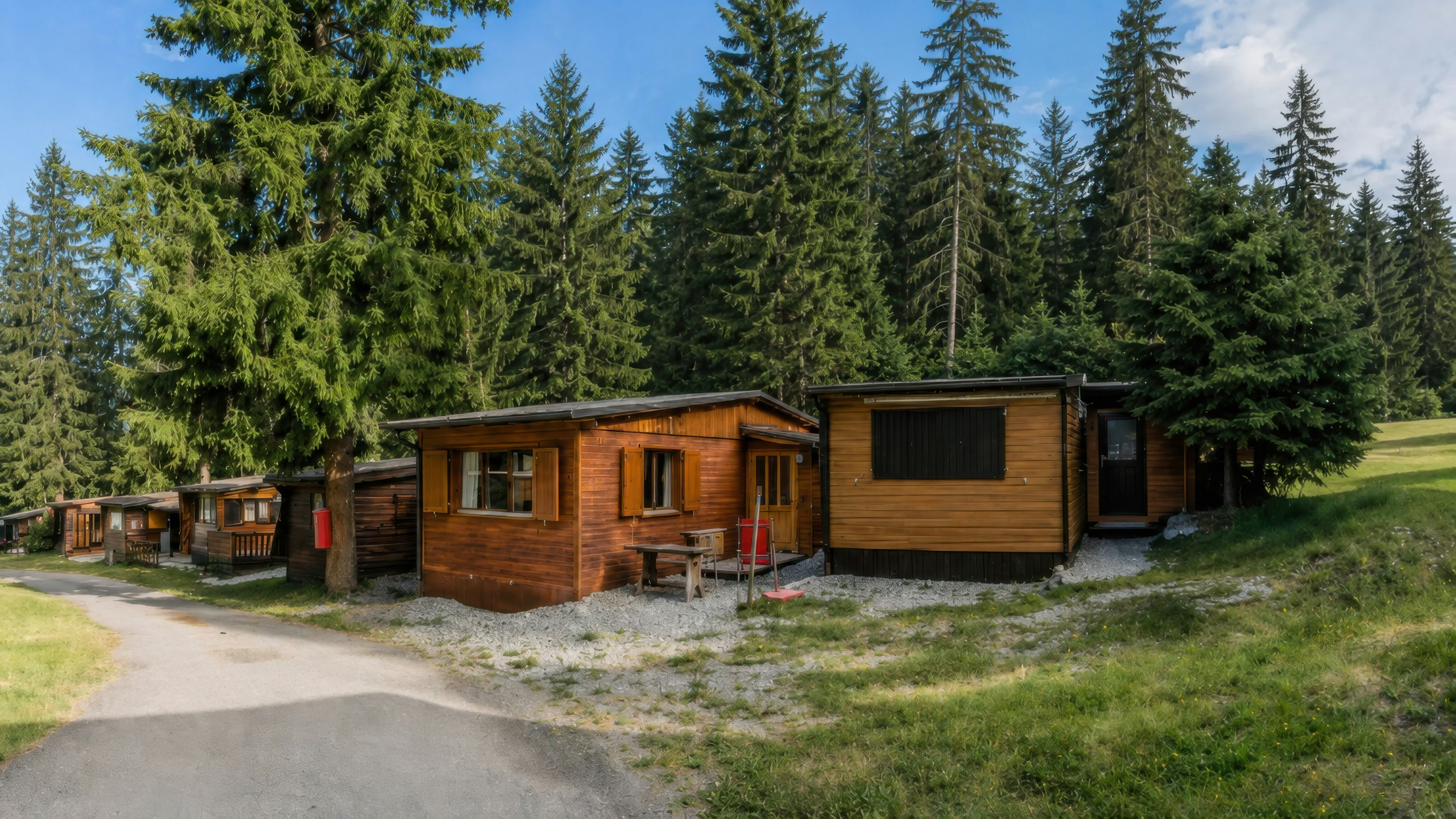 Chalet im Nadelwald Lenzerheide Holzchalet an einem Weg zwischen grünen Nadelbäumen