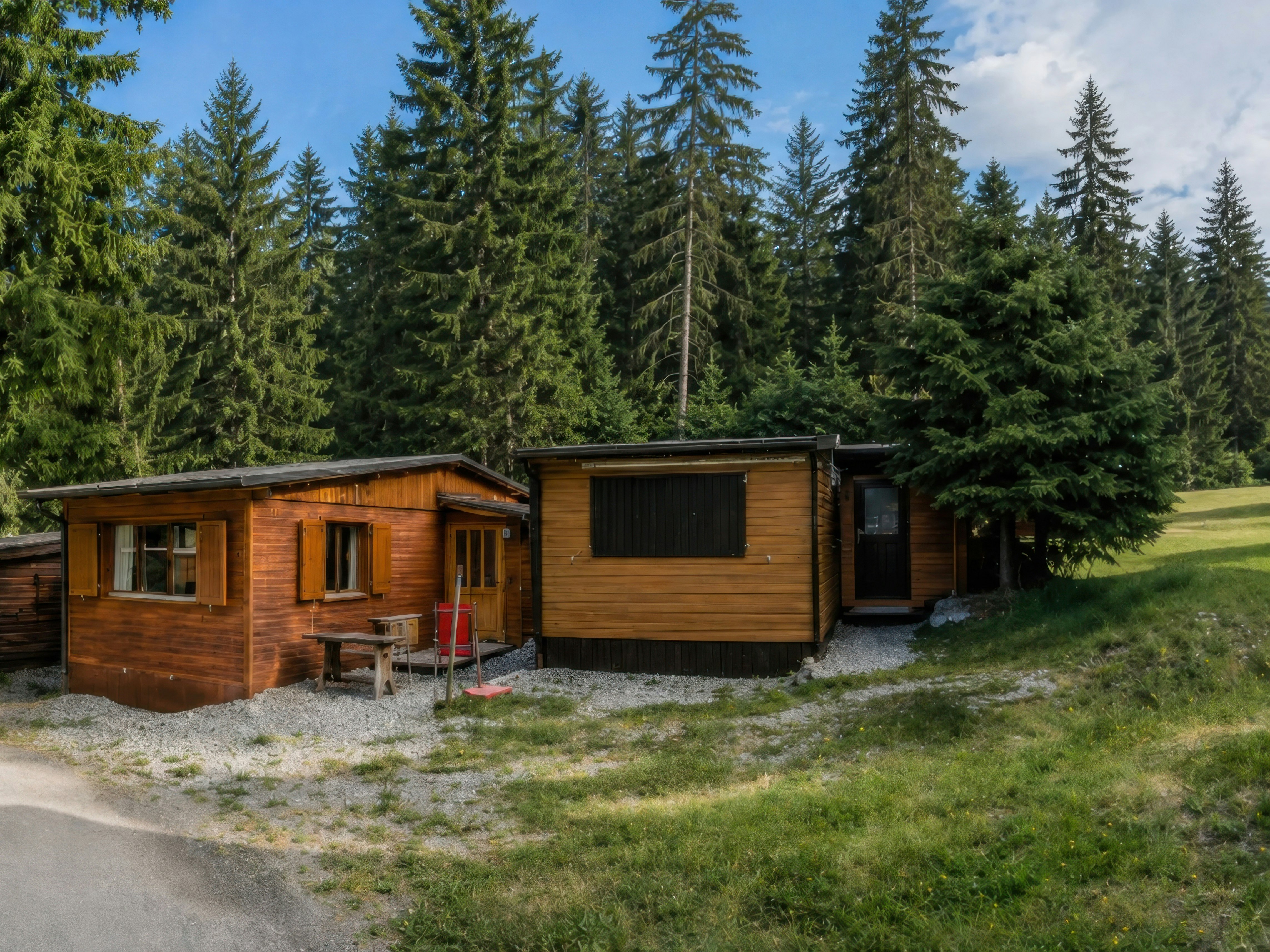 Chalet im Nadelwald Lenzerheide Holzchalet an einem Weg zwischen grünen Nadelbäumen