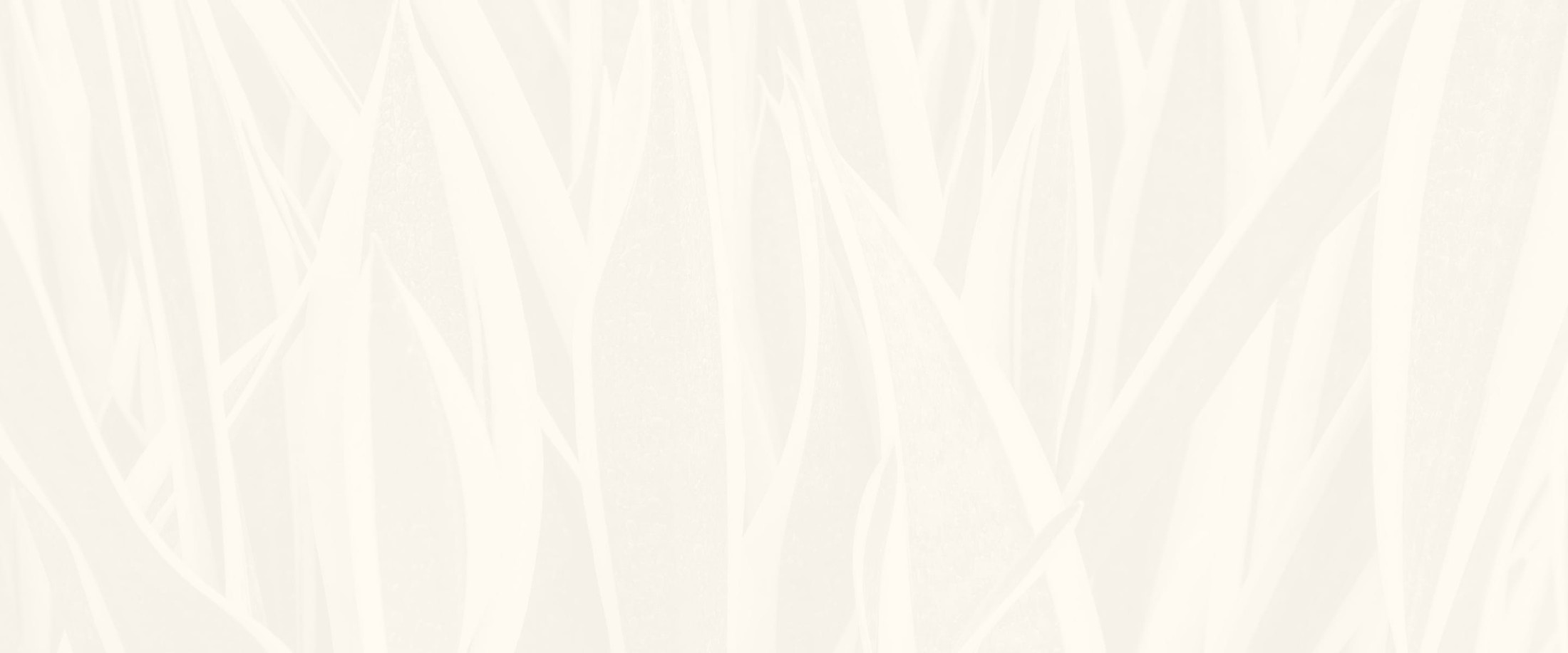 Banner media