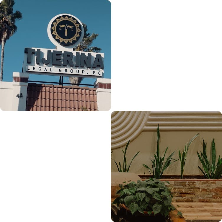 first image: cactus, second image: abstract art