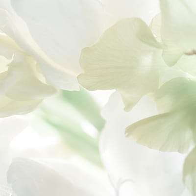 white flowers
