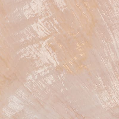 close up of a pink shell
