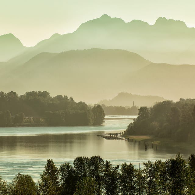 misty lake