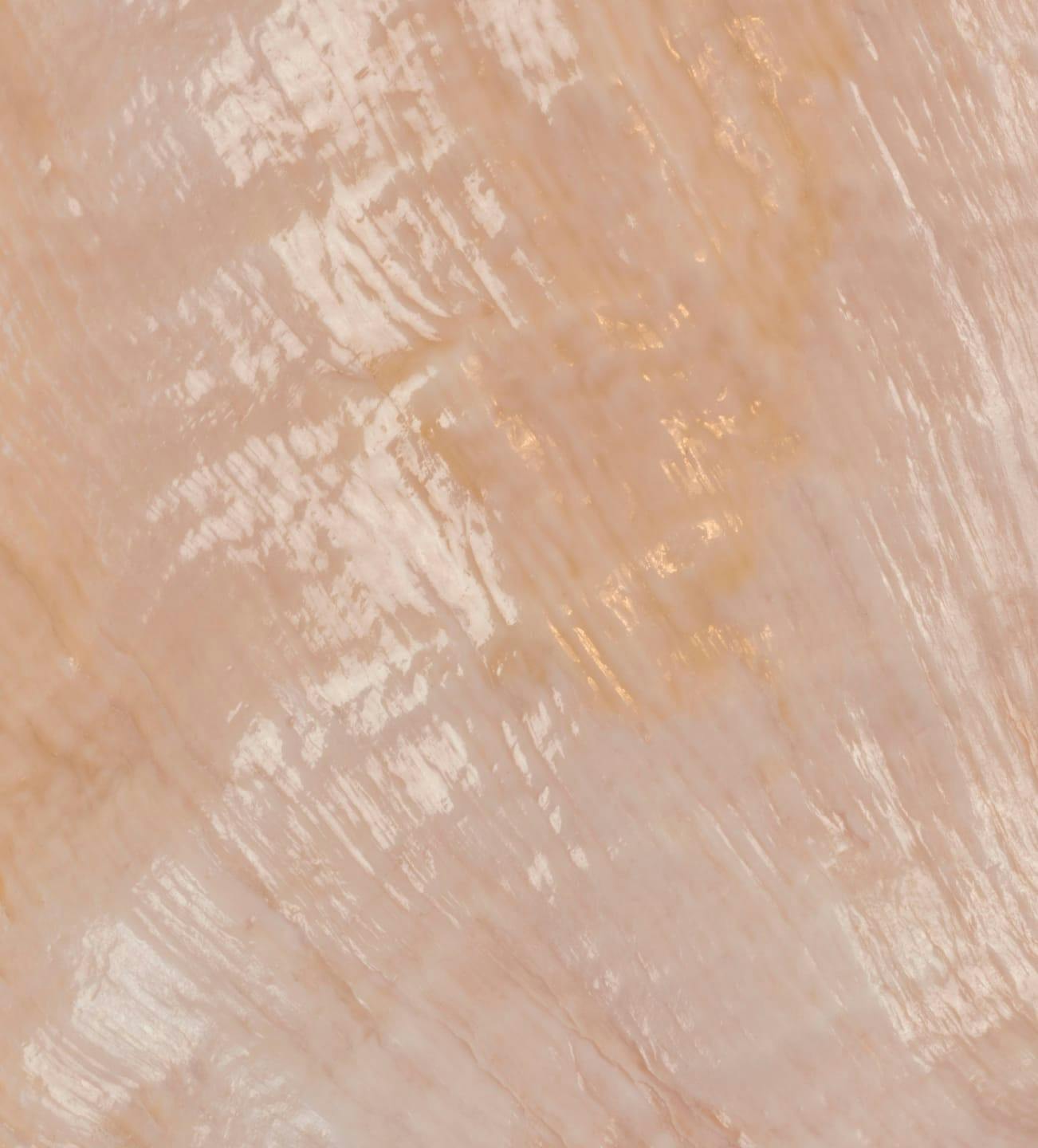 close up of a pink shell