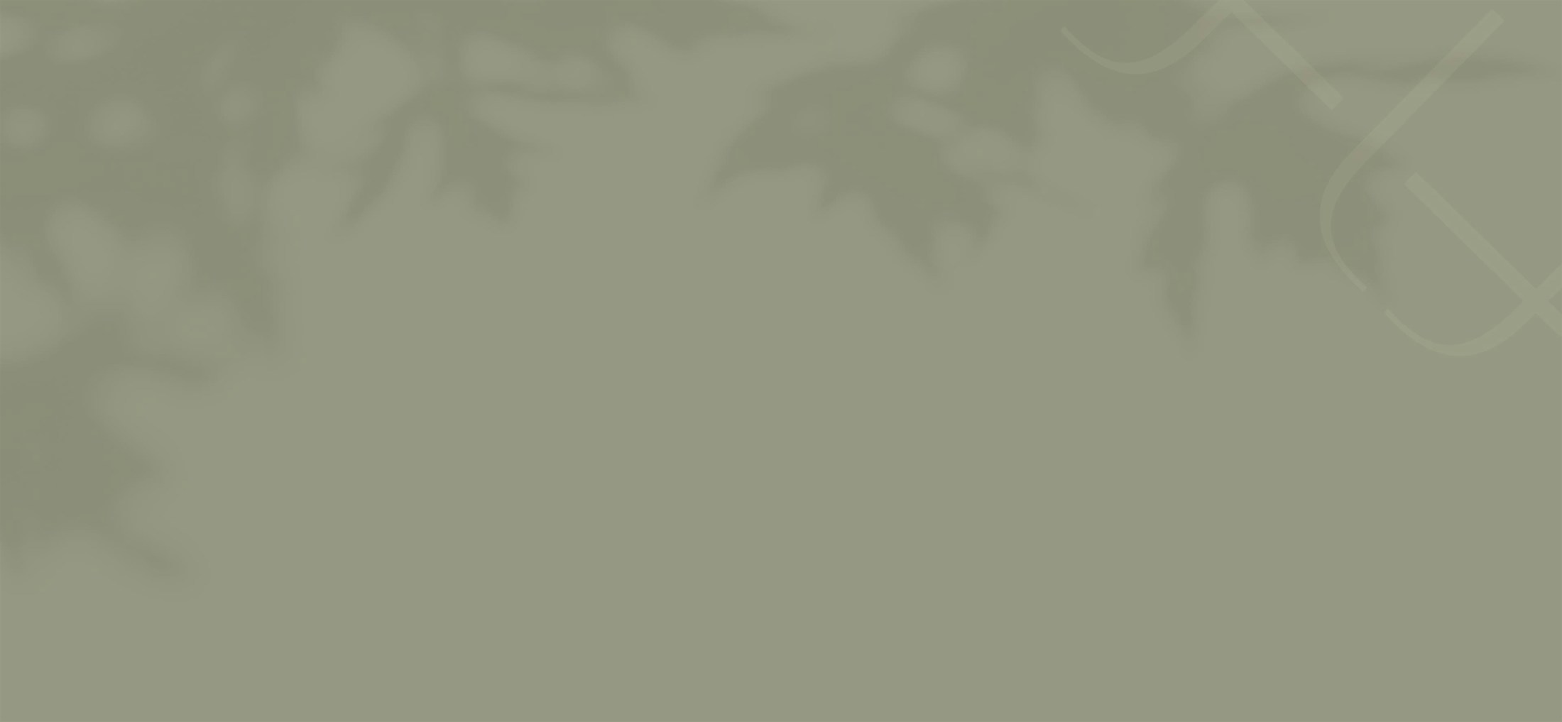 Banner media