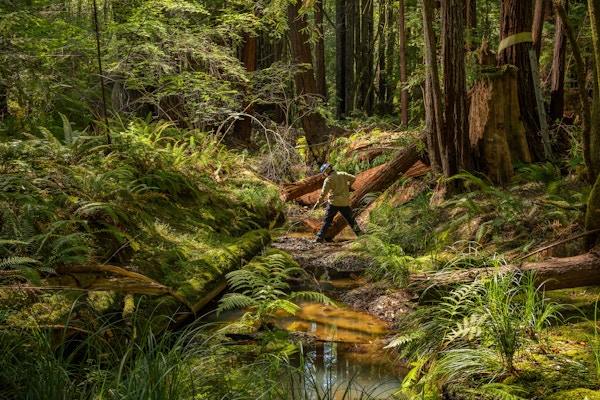 Coho Conservation for High Country News and Trout Unlimited