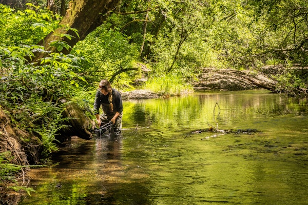 Coho Conservation for High Country News and Trout Unlimited