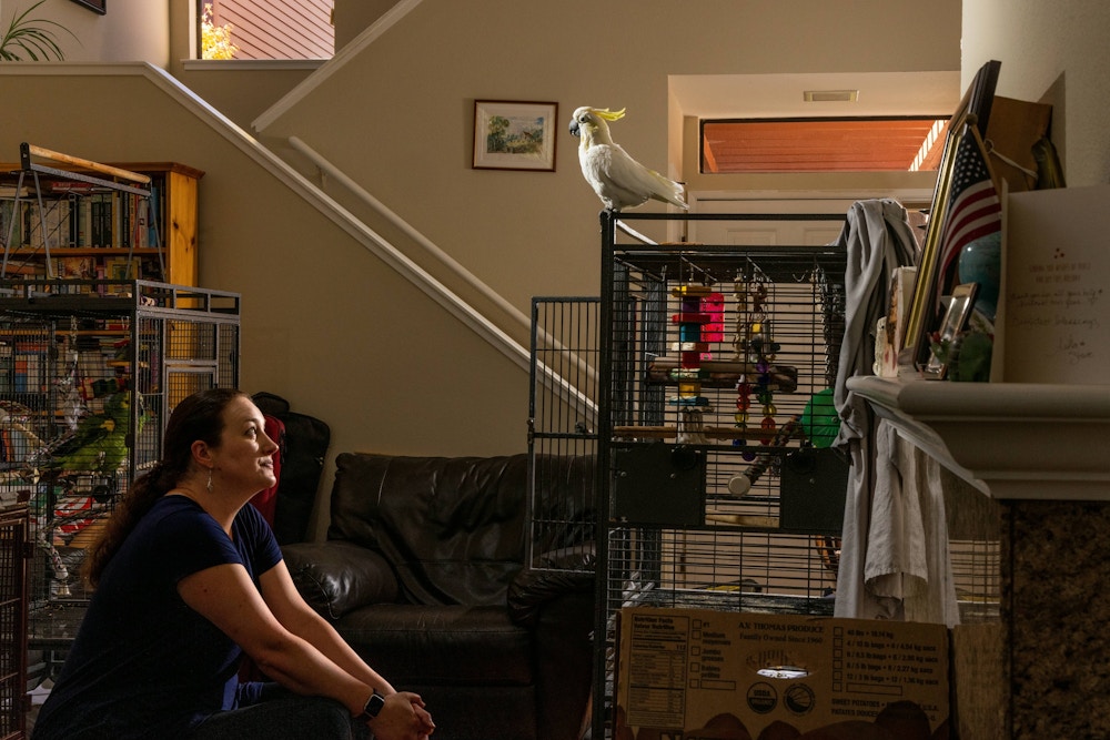 Long Living Pets for National Geographic