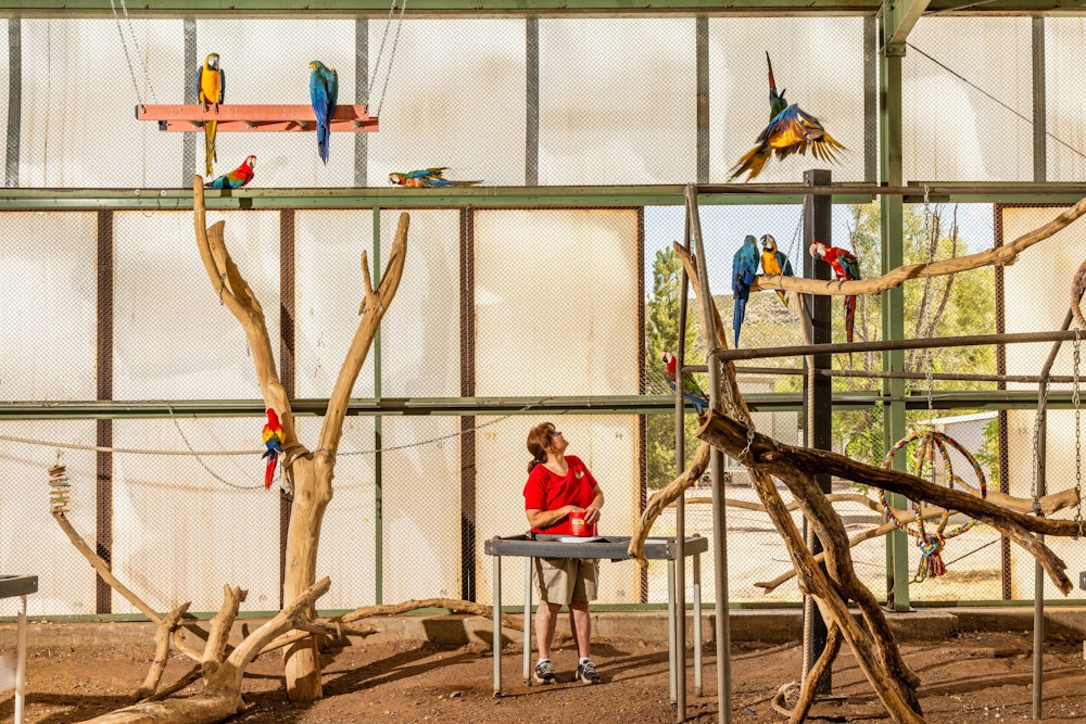 Long Living Pets for National Geographic
