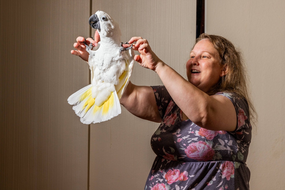 Long Living Pets for National Geographic