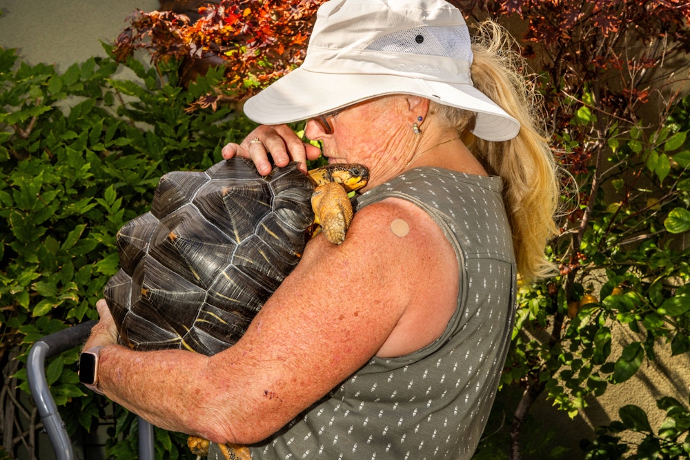 Long Living Pets for National Geographic
