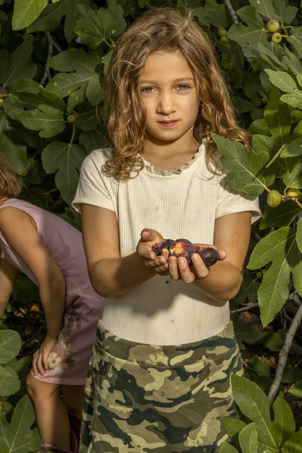 Wild Figs for Smithsonian Magazine