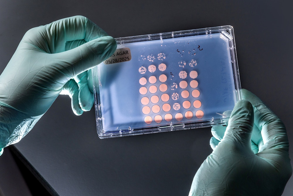 Methane Microbes for The Washington Post