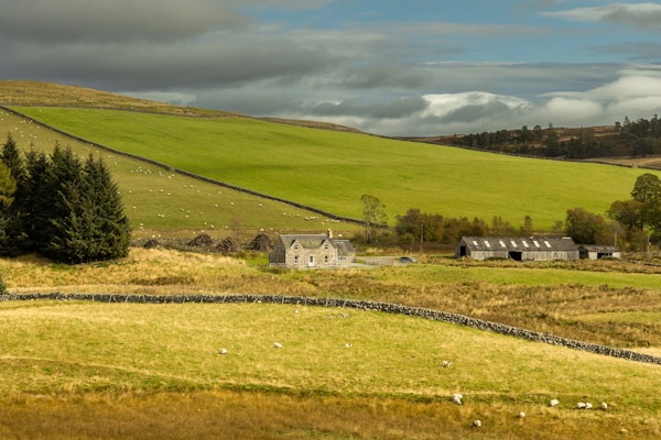 Dry Stone Masonry for Smithsonioan Magazine