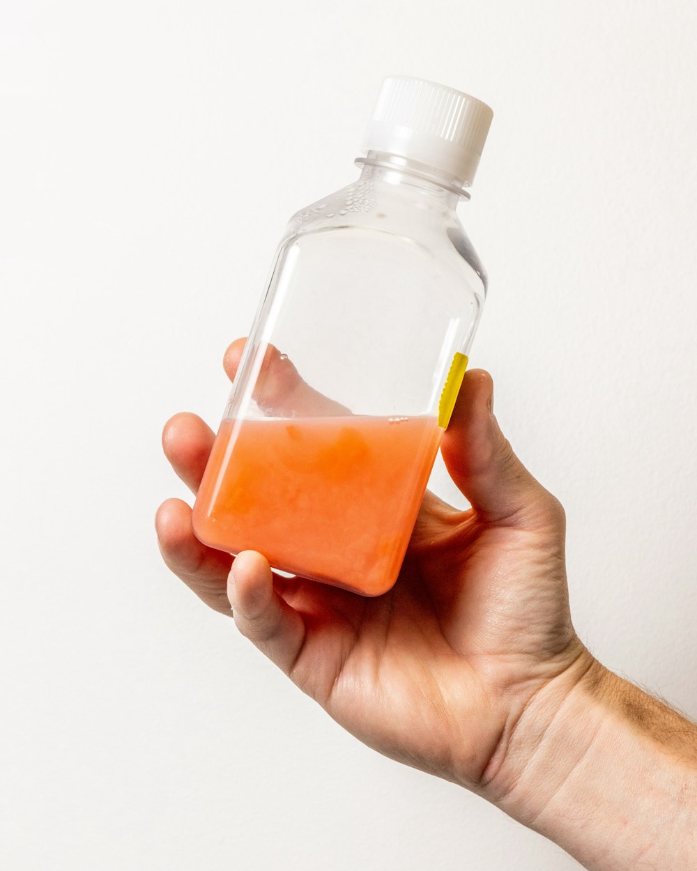 Methane Microbes for The Washington Post