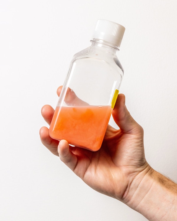 Methane Microbes for The Washington Post