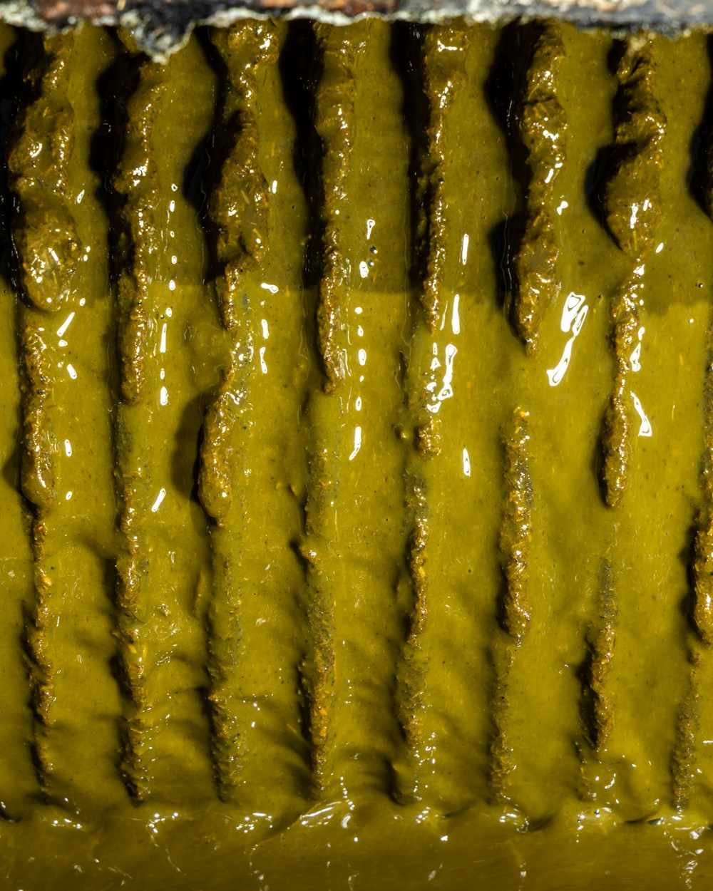 Methane Microbes for The Washington Post