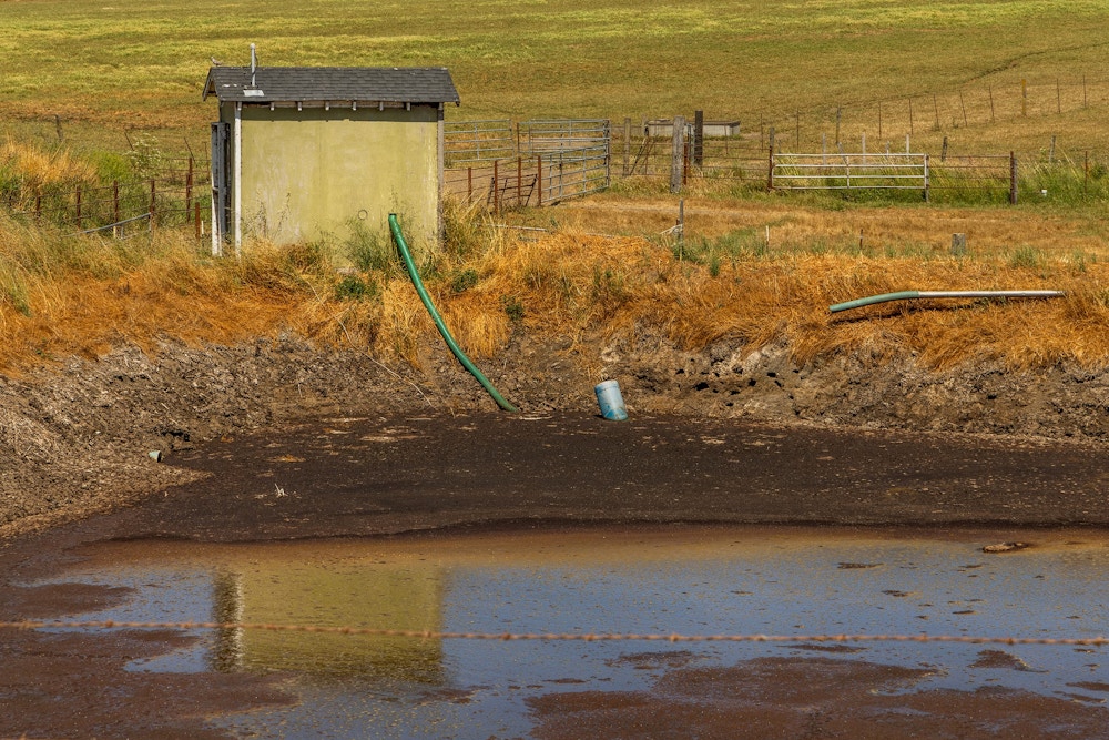 Methane Microbes for The Washington Post