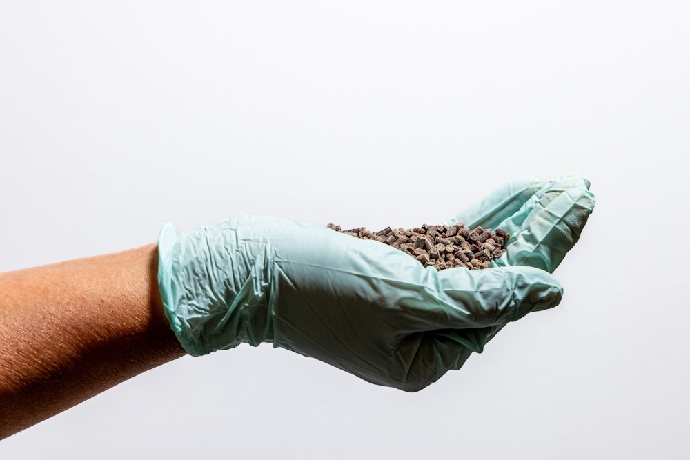 Methane Microbes for The Washington Post