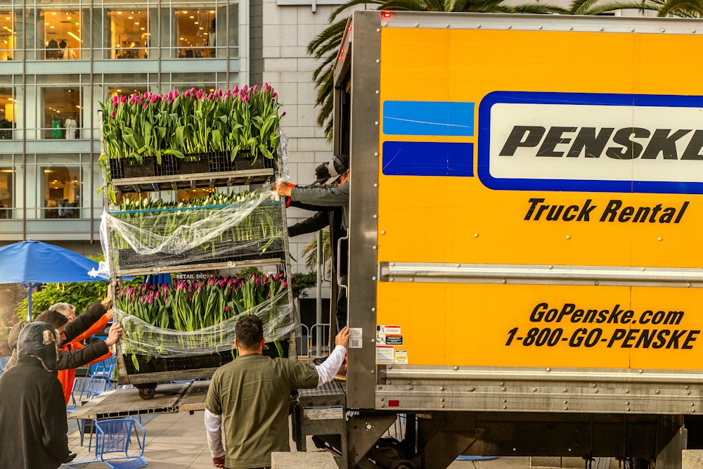Sun Valley Floral Farms for The San Francisco Chronicle 