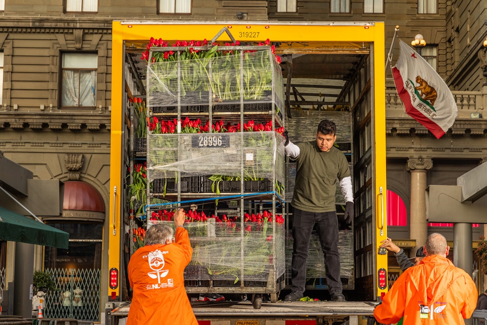Sun Valley Floral Farms for The San Francisco Chronicle 