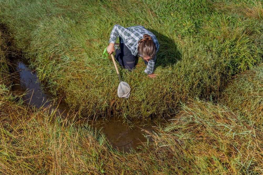 River Restoration for Trout Unlimited