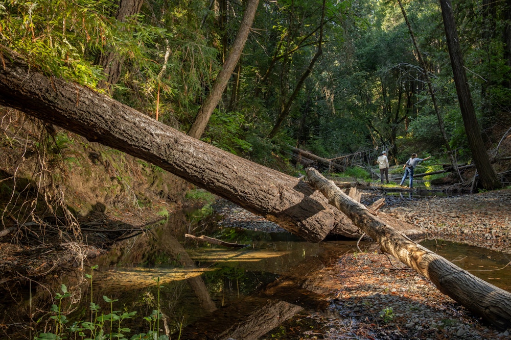 River Restoration for Trout Unlimited